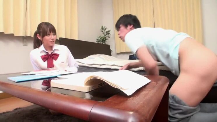 Belle chienne japonaise