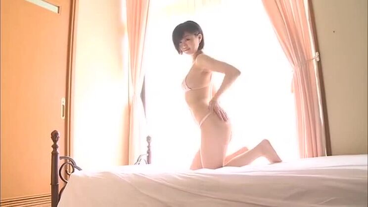 Magnifique chienne orientale