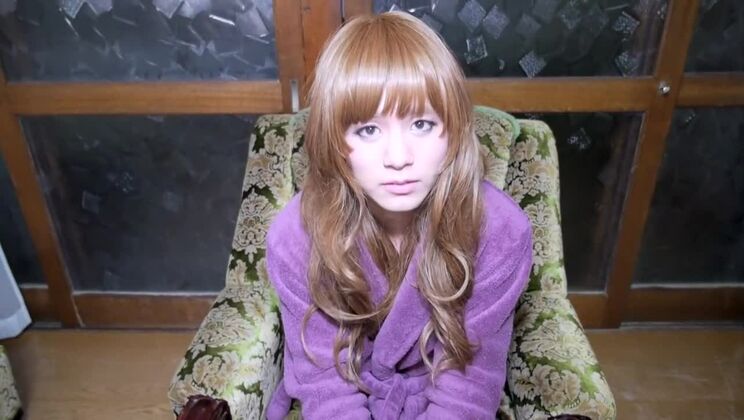 Belle chienne japonaise