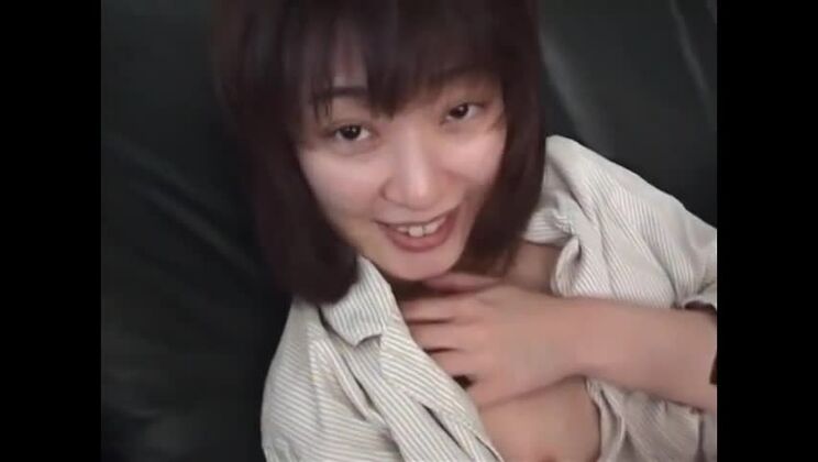 chienne japonaise attirante