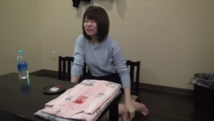 Belle chienne japonaise