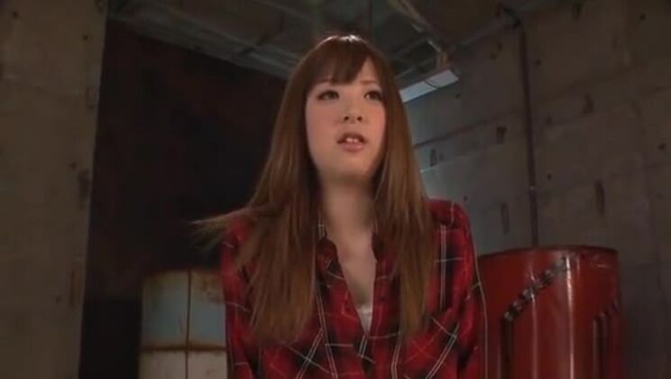 Chatte poilue léchée et baisée