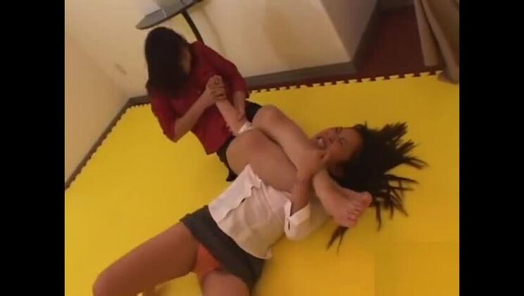 combat de chats japonais 1-5