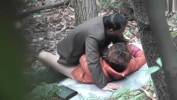 Forêt du Papa Chinois 33